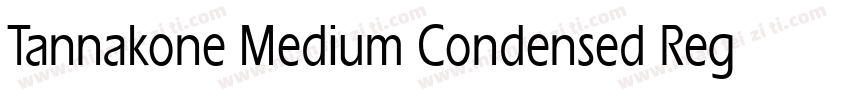 Tannakone Medium Condensed Regular字体转换